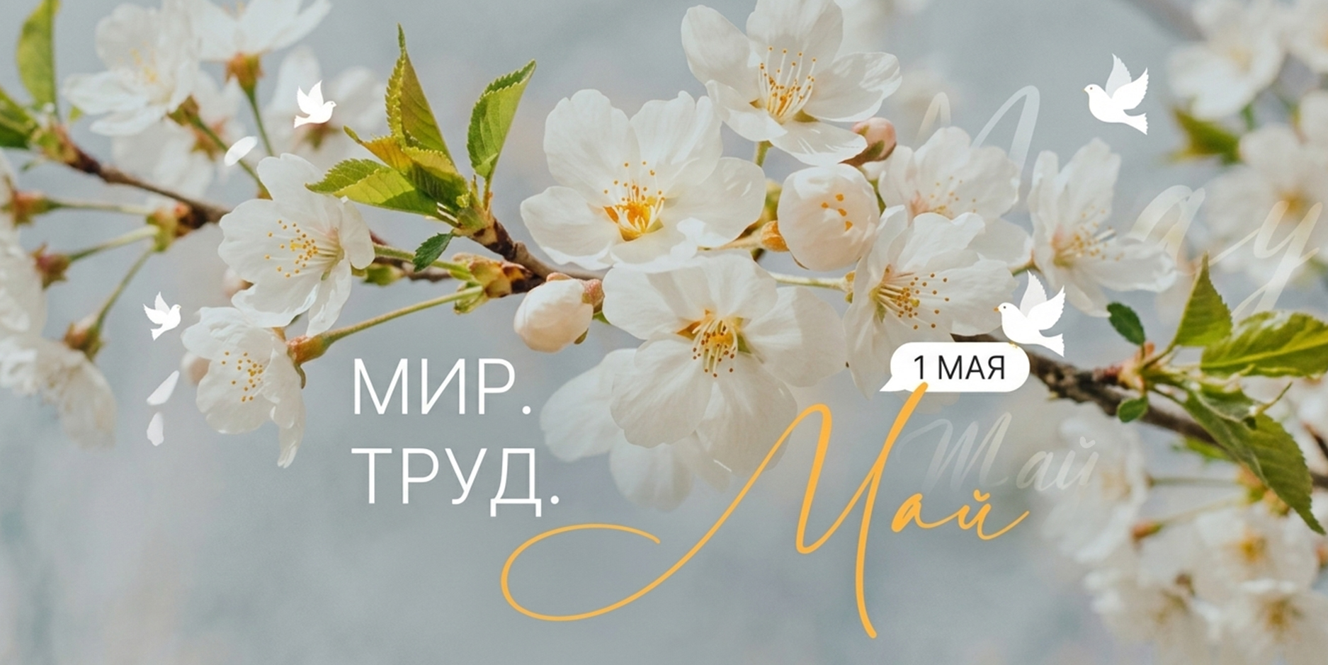 1 Мая
