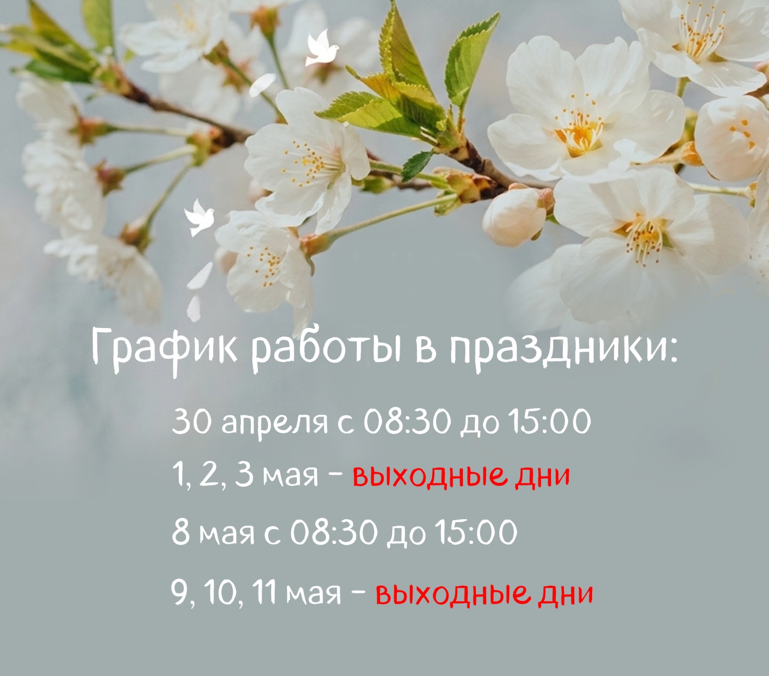 График работы