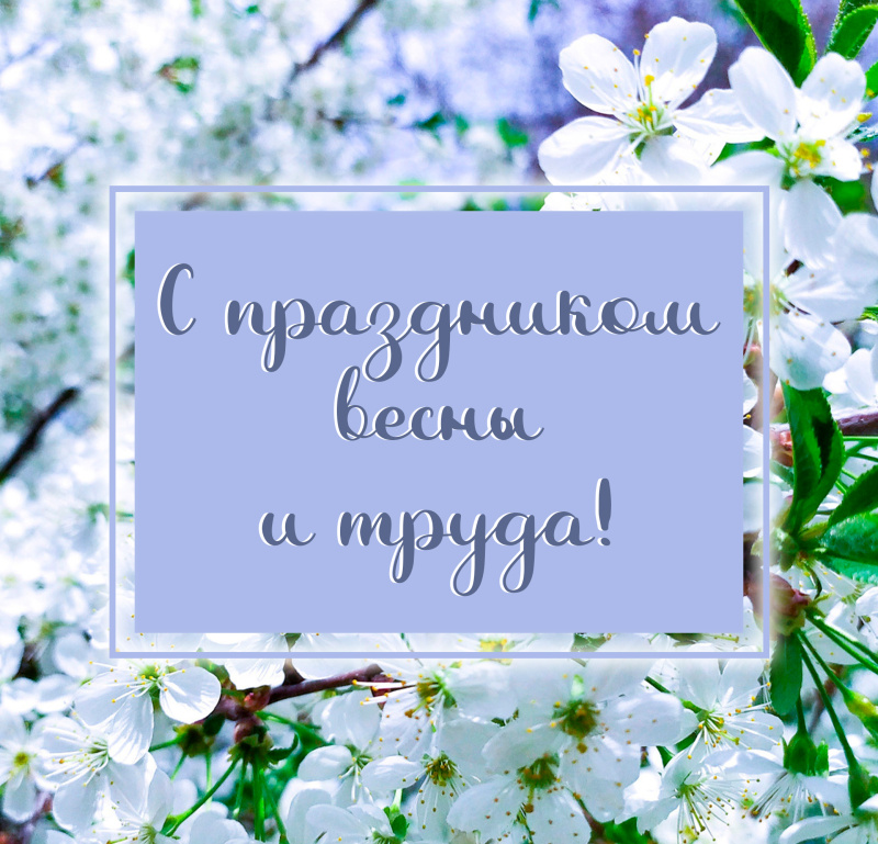 Ткань