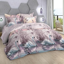 Закат 13571/1  (Поплин 220 см)