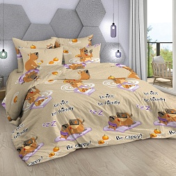 КПБ Поплин 1,5 сп подросковый